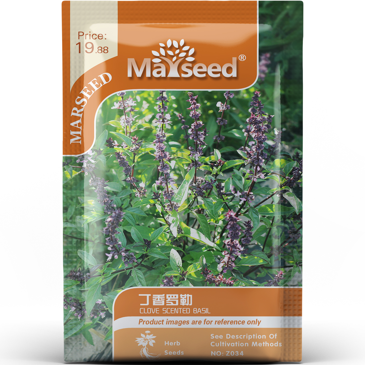 丁香罗勒种子种苗丁香薄荷双香传统淡雅烹饪茶饮两用安宁香草C155