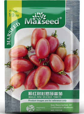 粉红衬衫罗莎番茄种子种苗粉嫩条纹嫩肉爆汁矮生高产盆栽蔬菜C075
