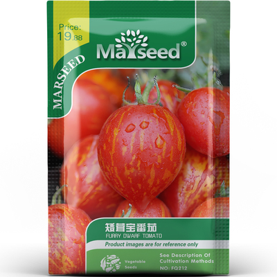 矮茸宝番茄种子种苗橙红晕染果尖李造型绒毛触感沙拉盆栽蔬菜C125