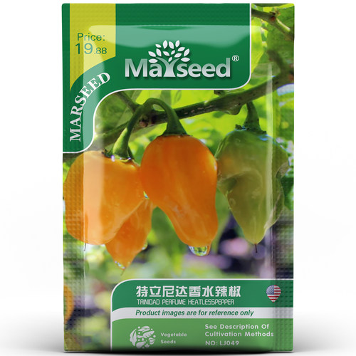 进口传家宝辣椒盆栽蔬菜种子