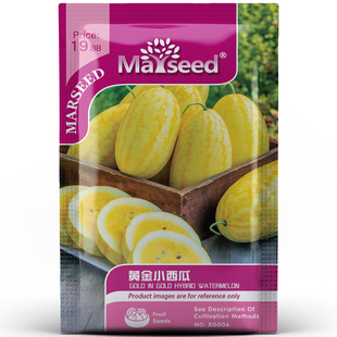 获2017年AAS奖黄金小西瓜种子 推荐 夏日美食蔬果种植孑籽 新品