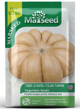 【MARSEED火星家】传家宝Tonda Di Napoli那不勒斯南瓜种子