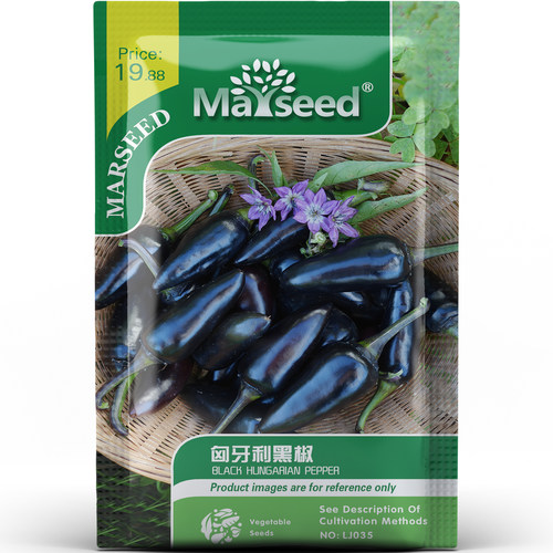 风味进阶匈牙利黑椒醇厚饱满辛辣香气好蔬菜盆栽地栽种子种苗A209