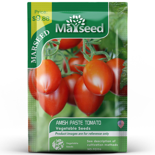 【MARSEED火星家】Amish Paste Tomato 阿米什人番茄种子籽孑苗