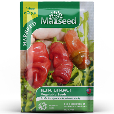 【MARSEED】进口红彼得辣椒种子