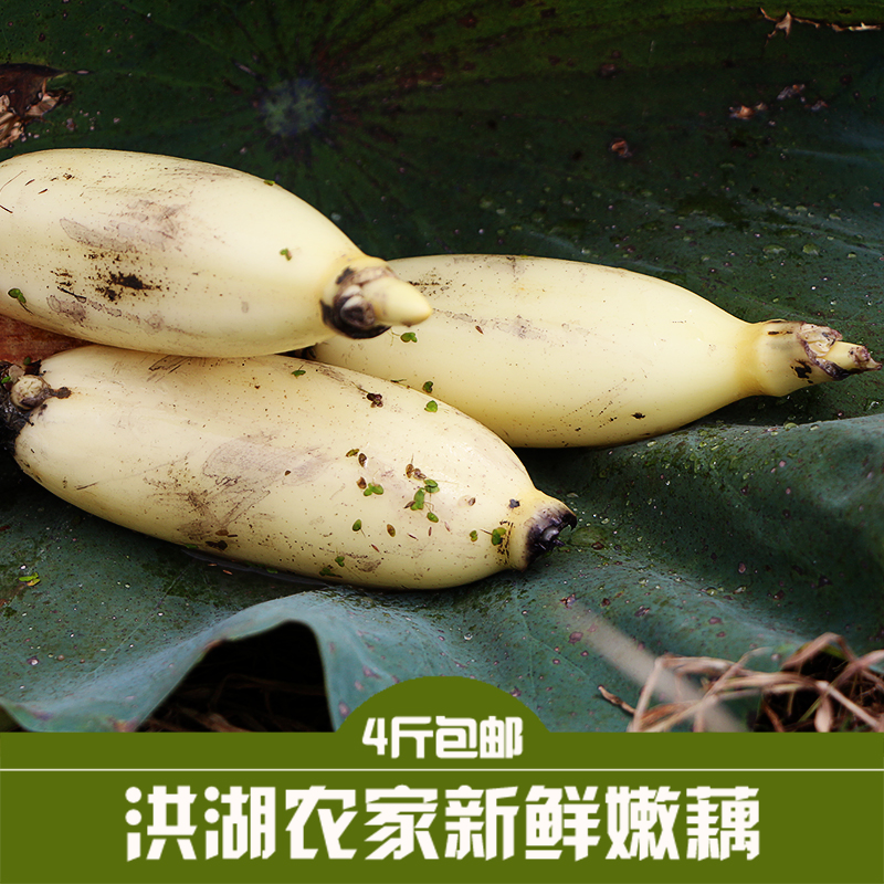 洪湖新鲜脆嫩莲藕现挖带泥4斤
