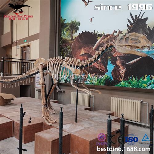 自贡大型仿真化石恐龙厂家恐龙化石骨架模型制作博物馆展览