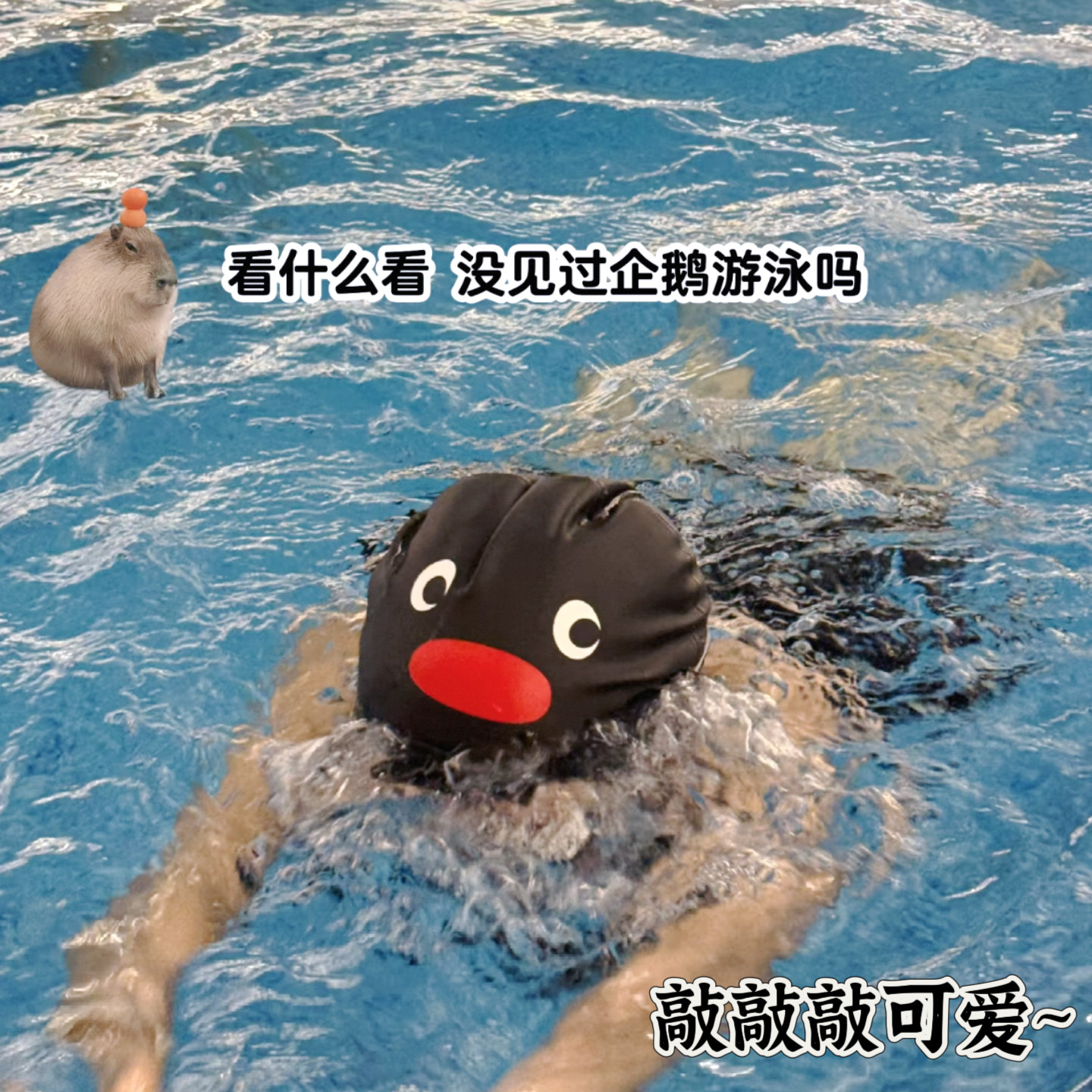 pinggu企鹅猫咪小怪可爱游泳帽图片