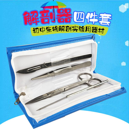 初中生物解剖实验用器材 教学仪器 尖头圆头解剖刀直头弯头剪子镊子解剖针