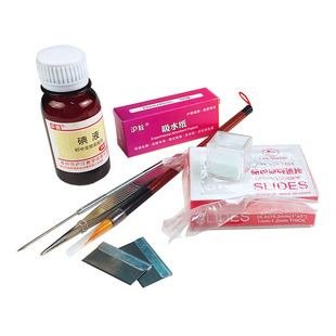 沪教 临时装片制作工具片 初中生物实验器材 教学仪器碘液吸水纸载玻片盖玻片单面刀片解剖针镊子毛笔解剖器