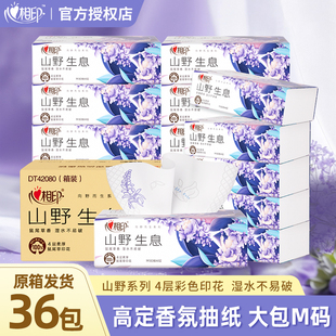心相印向野而生鼠尾草香味抽纸家用整箱纸巾彩色M码4层大包餐巾纸