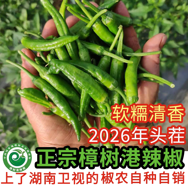 正宗樟树港辣椒微辣香软