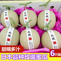 日本品种玫珑蜜瓜6个装静冈夕张网纹瓜哈密瓜甜瓜海南蜜瓜小蜜瓜