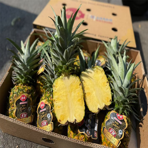 菲律宾进口凤梨sw黑金蜜蜂凤梨