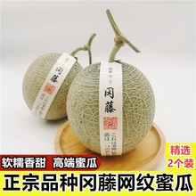 正宗冈藤蜜瓜静冈网纹蜜瓜海南软心玫珑瓜牛三2个装哈密瓜新鲜