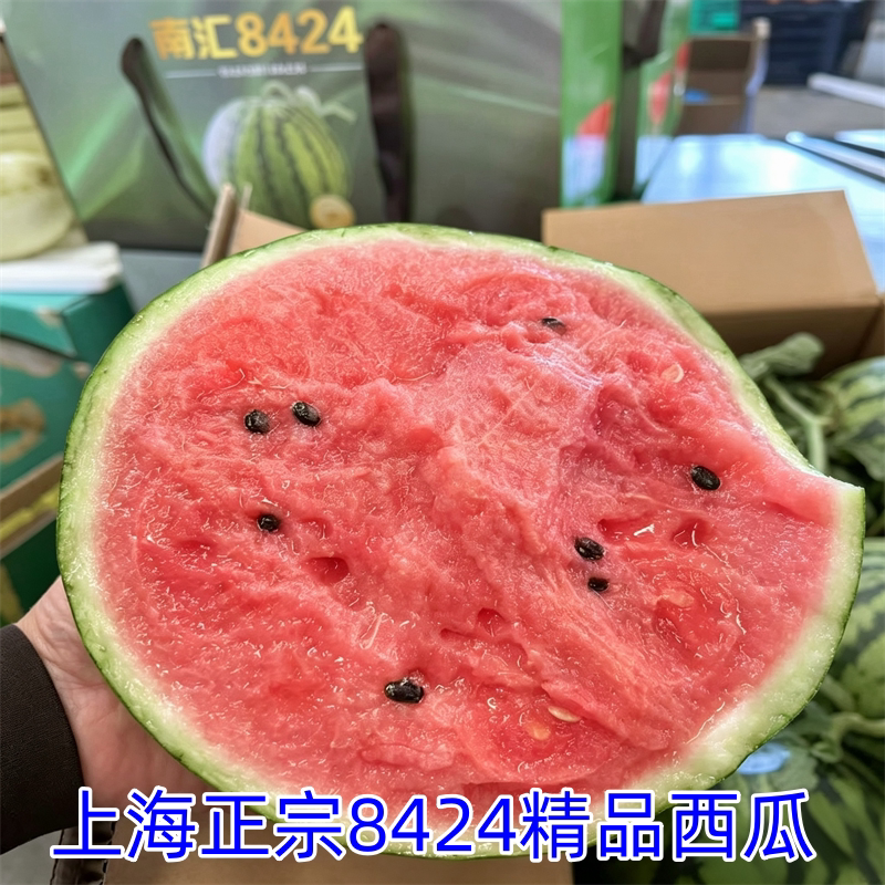 上海现摘新鲜8424西瓜黑籽脆甜薄皮大果当季水果多汁红壤头茬麒麟