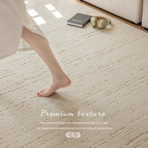 家用沙发客厅轻奢高级硅藻丝地毯