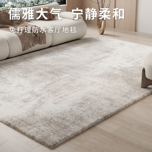 地毯客厅家用新款免洗可擦轻奢高级奶油沙发卧室加厚加密防水地垫