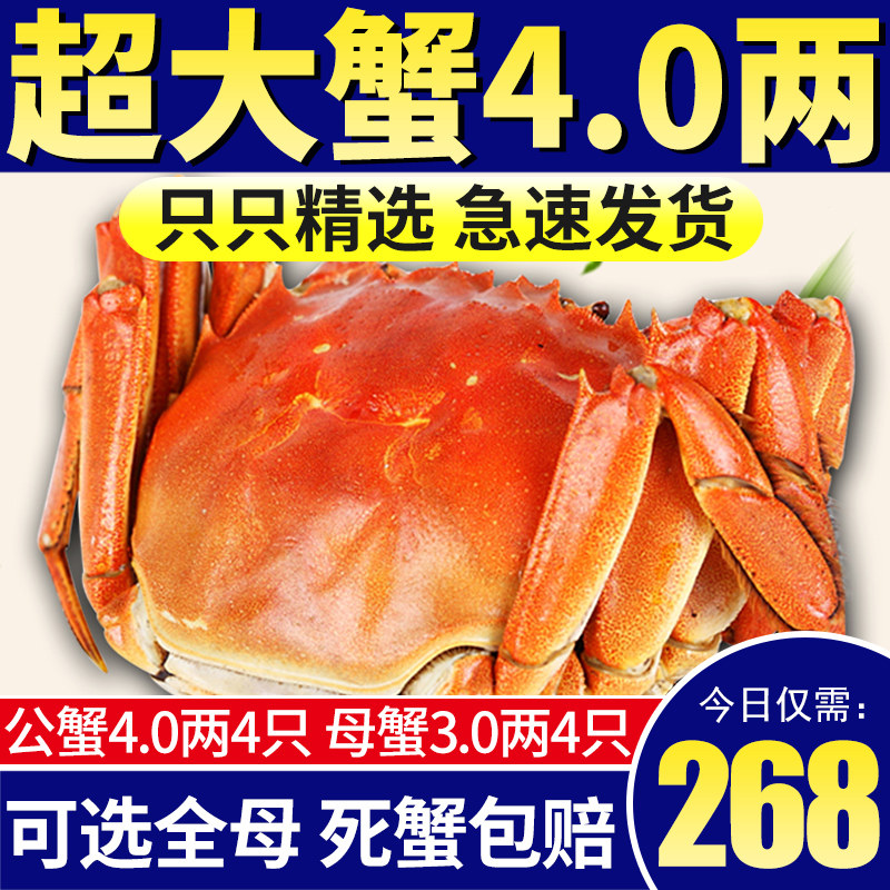 Live crabs Eight fresh Fresh Crabs Large Crab Male crab June Shimizu Lake crab Seafood Aquatic productsin the Aquatic meat/Fresh fruits and vegetables/Cooked , Seafood/Aquatic/Product , Crabs , Crabs  category - from Buy2taobao.com to provide professional Taobao agent buy service