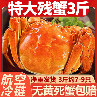 净重3斤特大残蟹大闸蟹鲜活固城湖螃蟹新鲜公母螃蟹断脚蟹次蟹