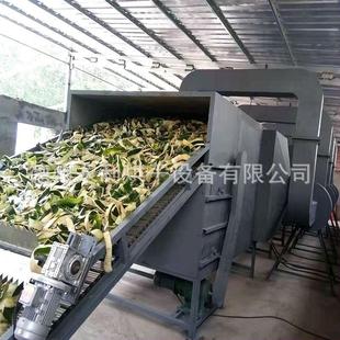 定制机冬瓜皮烘干 多层带梨片干烘燥设备 多种式YLHS98药材果蔬干