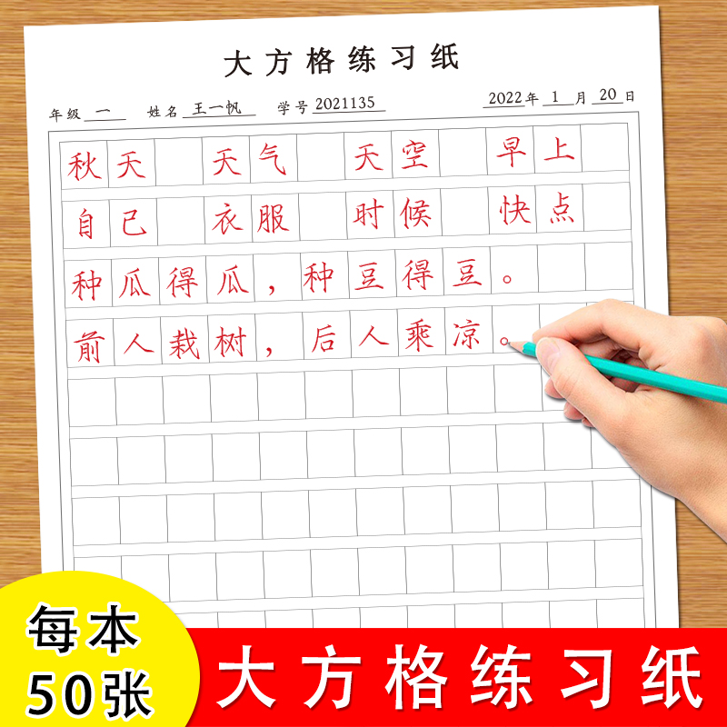 小学生方格课文词语句子练习纸