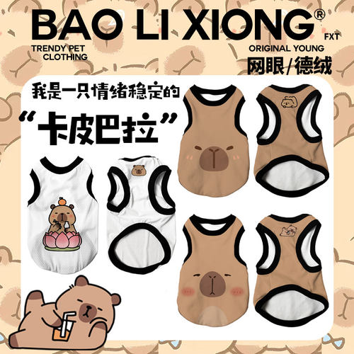 秋冬卡通佛系创意卡皮巴拉表情猫狗宠物衣服猫咪狗狗空调衫宠物服