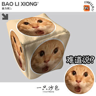 哈基米南北绿豆耄耋哈气猫难道说手抓扔沙包游戏投掷小号沙袋户外