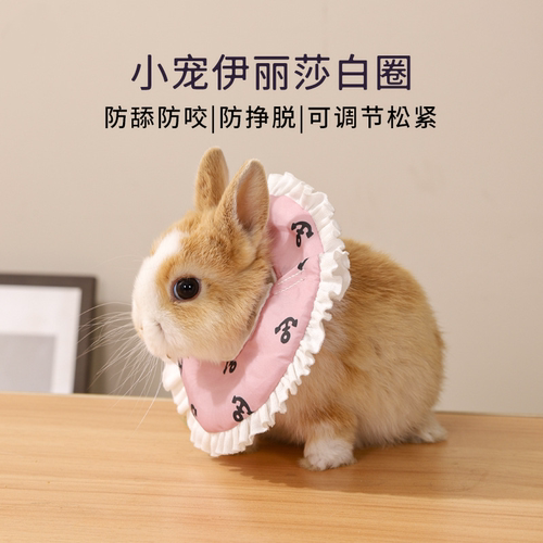 伊丽莎白圈兔子蜜袋鼯防舔防护圈荷兰猪仓鼠小宠头套项圈宠物用品