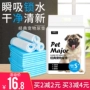 Chó nước tiểu pad vật nuôi cung cấp tã tã mèo tã Teddy thấm miếng pad dày khử mùi 100 viên - Cat / Dog Beauty & Cleaning Supplies 	lược chải lông thú cưng	