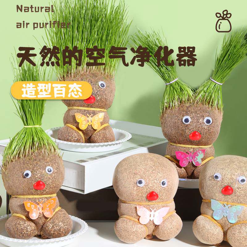草头娃娃小盆栽办公室桌面可爱植物趣味长草娃娃儿童水培创意绿植