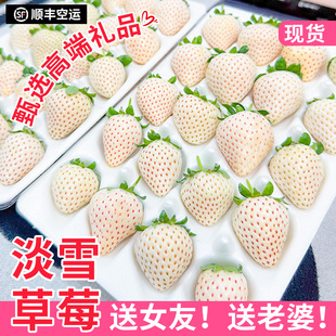 淡雪白草莓新鲜丹东草莓白雪公主牛奶奶油草莓礼盒