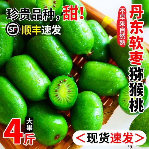 顺丰发货软枣猕猴桃现货速发