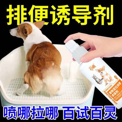 狗狗厕所诱导剂定点大小便排便尿尿拉屎引导剂训练诱便生活用品