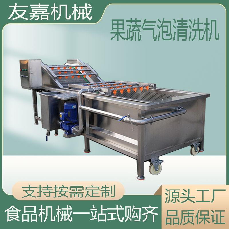 草莓樱桃多功能果蔬清洗机水果蔬菜清洗加工线喷淋式气泡清洗机