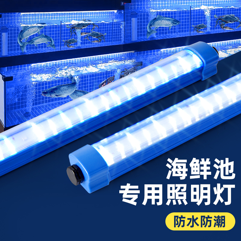 led灯条形非智能控制防水12v照明