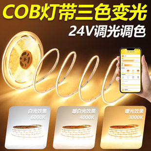 三色变光led灯带COB智能220V无极调光变色3色自粘遥控24V低压灯条