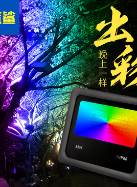 户外氛围洗墙灯LED七彩RGB遥控变色投光100W室外户外彩色投射树灯