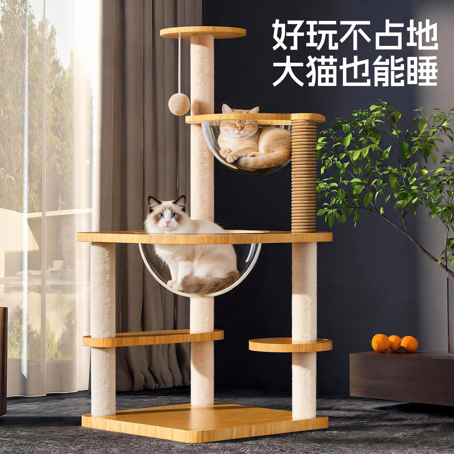 小型太空舱猫爬架猫窝一体图片