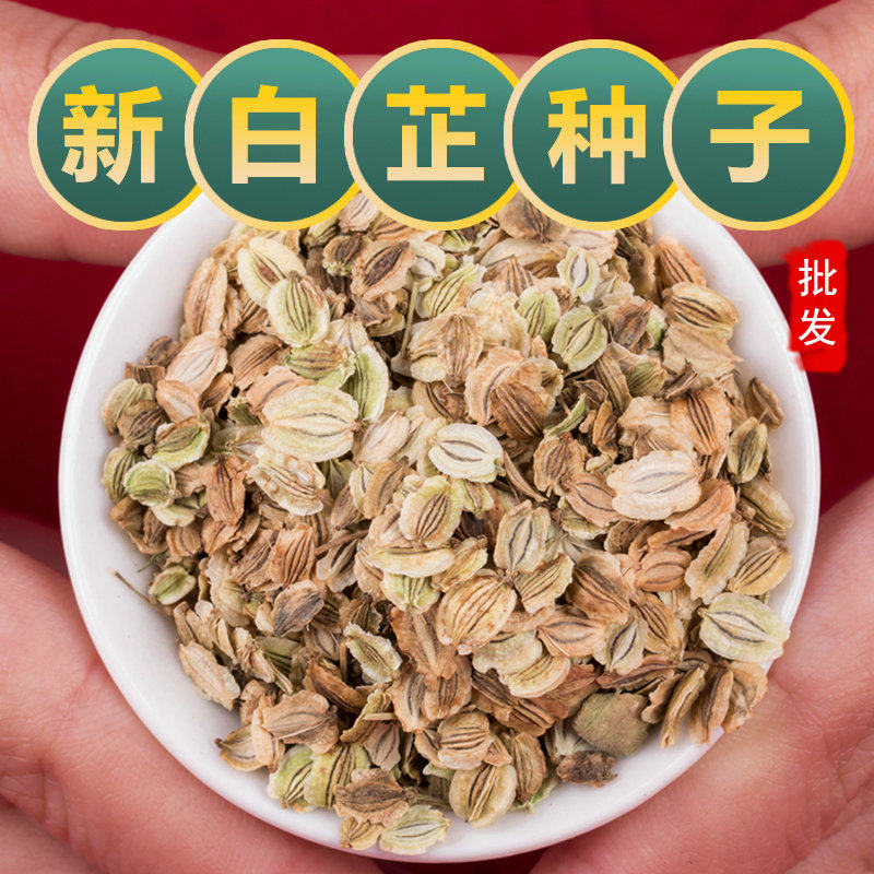 2025年白芷种子纯新白芷种籽春秋冬季散装中药材种植苗易管理香料