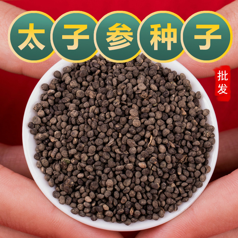 中药材太子参种子童参种子人参种子孩儿参种子麦冬黄芪党参五味子