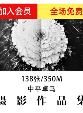 中平卓马摄影大师摄影作品集参考素材审美提升资料