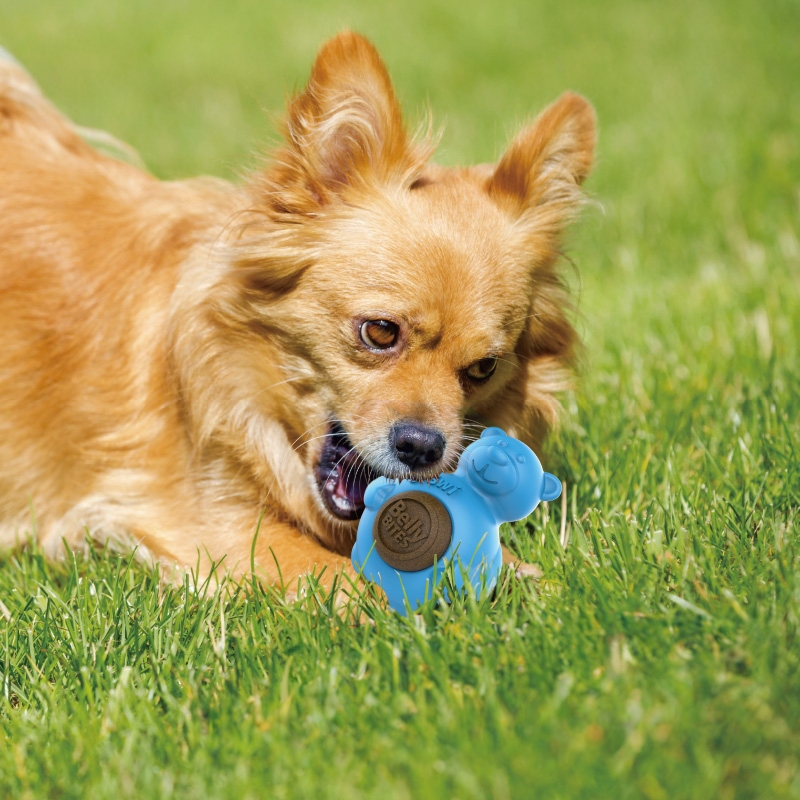 贵为狗狗零食玩具磨牙饼GiGwi