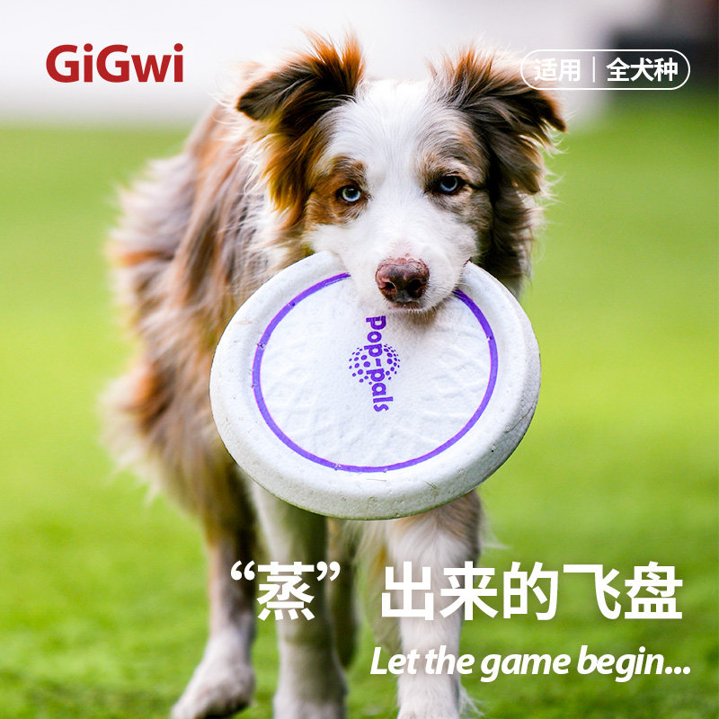 GiGwi贵为狗狗玩具飞盘狗专用飞盘耐咬金毛边牧户外训狗训练飞盘