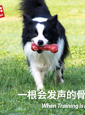 GiGwi贵为狗狗玩具发声骨头磨牙耐咬泰迪金毛柯基自嗨解闷神器