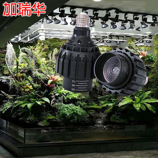 植物补光灯调焦室内家用led生长灯落地全光谱鱼缸造景射多肉灯泡