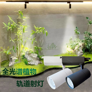 綠植墻植物補光燈led植物生長燈園藝花店多肉全光譜導軌射軌道燈