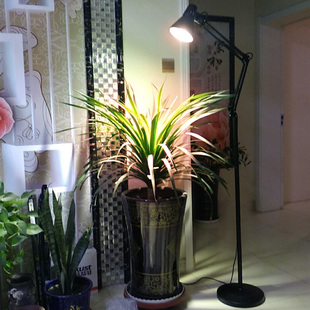 全光谱水草植物补光灯泡LED灯鱼缸爆藻生长彷太阳室内花卉苔藓墙