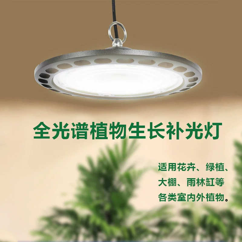 Fill light for gazebo solar-powered, comfortable light spectrum, orchid
