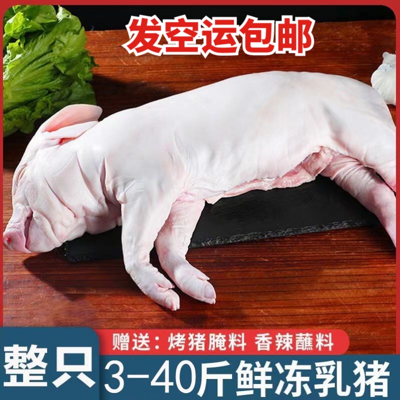 新鲜冷冻现杀小乳猪整只食用脆皮烧烤小耳酒店食材整4~20斤小香猪 水产肉类/新鲜蔬果/熟食 生猪肉 原图主图